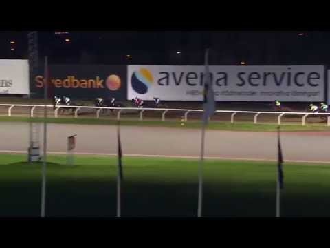 2015.11.15 Svenskt Kriterium - Suspicious Mind