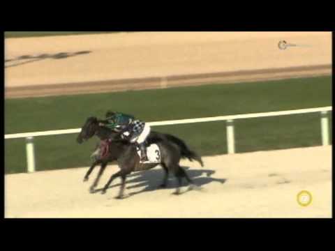 Lósport: Az elmúlt hétvége legjobb galopp- és ügetőfutamai a Kincsem Parkból