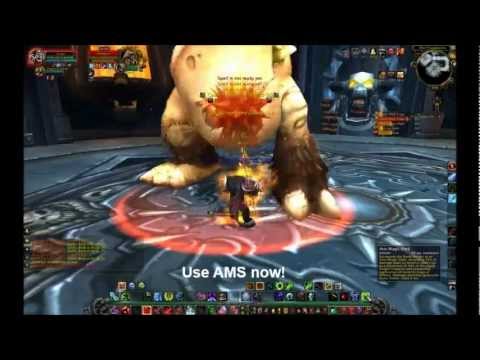 How to solo Festergut [wowtapes.com]