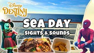 POV: A Dream Sea Day on Disney Destiny I Food, Fun & Relaxation!