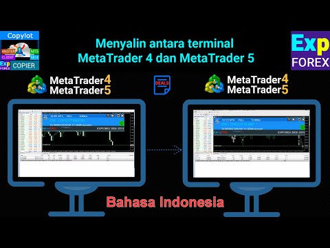 Video tentang Copier Copylot untuk penyalinan transaksi MT4 MT5