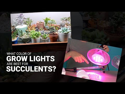 3 Macrame Earrings Patterns Easy DIY