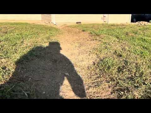 Ego Power + Multi-Head System with 9” Cultivator Attachment, This Thing Really Work, Battery Powered