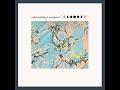Wild Nothing - Midnight Song