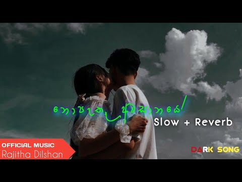 Nopathu Awasanaye ( නොපැතූ අවසානයේ ) | 2023 New Sinhala Song | Slow And Reverb | Manoparakata |