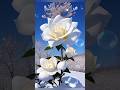 90s Hindi Song Beautiful Flowers Status 4knature Natural 4kvideo Shortvideo Trending Flowers