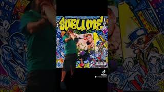 Sublime - Thanks Dub (instrumental) - Steve b Didgeridoo