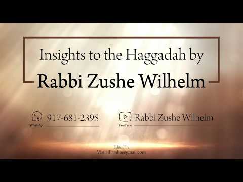 Insights on the Haggadah by Rabbi Zushe Wilhelm - #8 Why do we say ״נשמת״ in the night of פסח‎