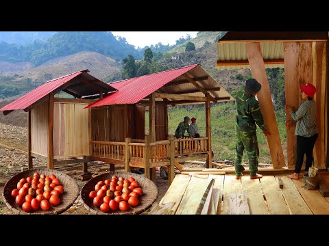 Building a new life Ep.62 | build a house wall out of wood. strawberries, potatoes and tomatoes