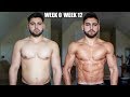 Realistic and Natural 12 Week Body Transformation