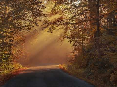 Viva la Vida X Titanium (mashup) - instrumental