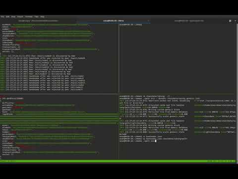 Running an NDN-based ethereum blockchain network
