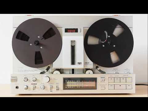 Outwild x She Is Jules   Golden