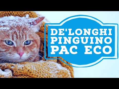 ❄️ De'Longhi Pinguino PAC EL98 ECO Mobile Klimaanlage (2024)