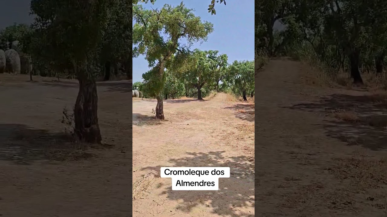 YouTube Short thumbnail