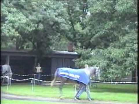 Gorec in 2004 Europa Cup, Warsaw Poland