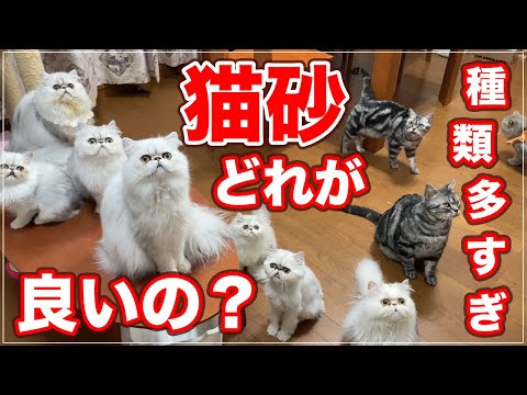 猫砂の種類