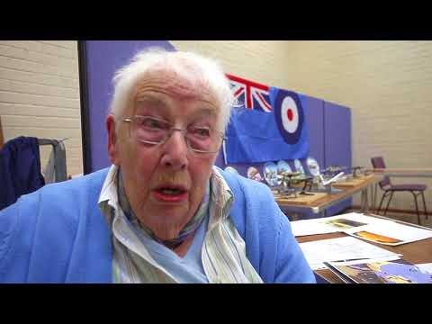 Celebrating 100 years of Britain's Royal Air Force