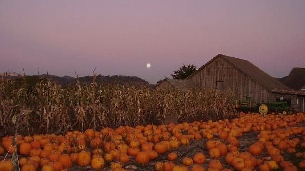 a playlist to romanticize autumn