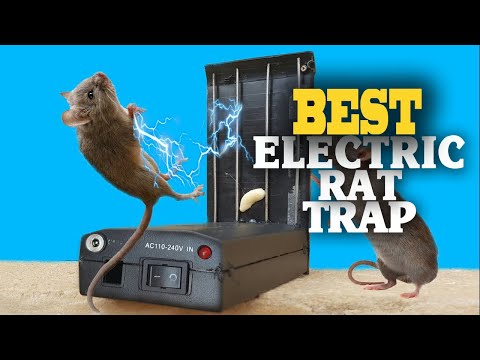 ✅Electric Rat Trap – Top 5 Best Electric Rat Traps 2023.