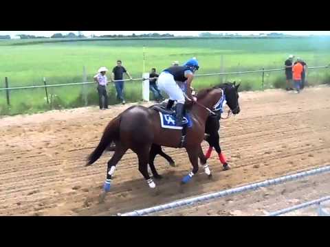 M1 vs El Canelo 250 yardas   Agosto-8-2015