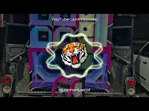 REVOADA E BAGACEIRA - TARCISIO DO ACORDEON