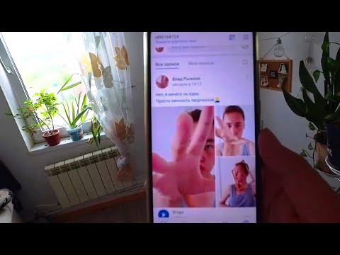 VLOG: НУЖЕН СОВЕТ! ЧТО ДЕЛАТЬ С ПАЛЬМОЙ?! 27.06.20