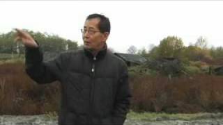 Cedar and Bamboo trailer