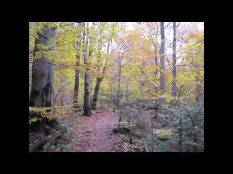 Łemkowyna Ultra Trail 70 - 2015