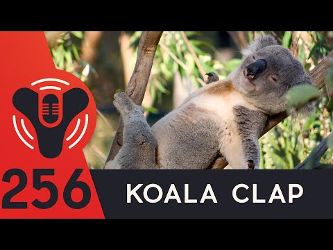 DCP Ep. 256 - What Does Petra Know? - Revamped Trials?