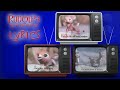 Rudolph The Red Nosed Reindeer Singalong With On Screen Lyrics