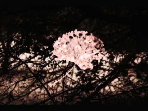 Yusef Lateef "The Purple Flower"