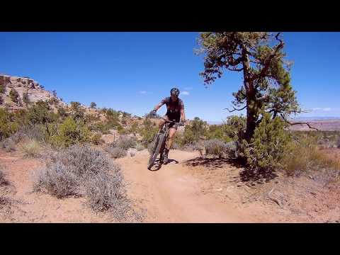 Mustang Loop from Chisholm trailhead, counterclockwise...