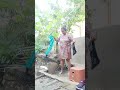 Bristita Vija Gachi San Kora Nilam Shortvideo Subscribe Shortviral