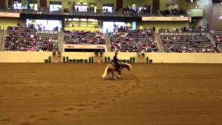 Bad Eventer watching reining - Lyle Lovett riding Smart &amp; Shiney