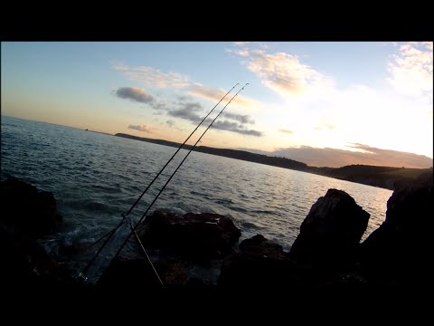 Fiskeri efter havbars fra klipperne i England