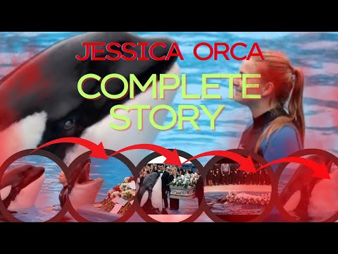 The Tragic Story of Jessica, the Orca and Her Trainer