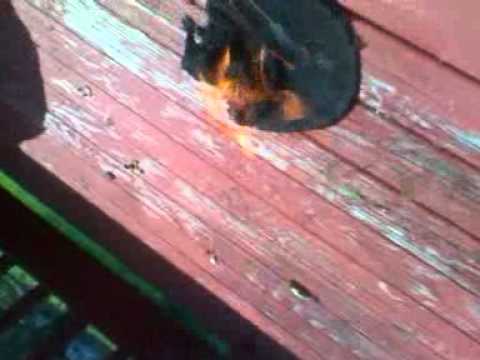 SnapBacks "I Don't Like"