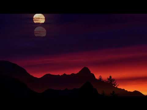 Crackling Campfire, Lots of Night Bugs, & Loons Calling At Night - {8 Hours} *No Music*