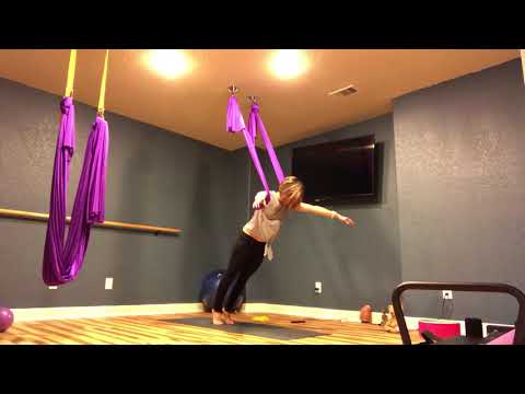 Aerial Hammock Conditioning Workout