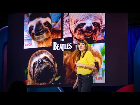 , title : 'Sloths! The strange life of the world's slowest mammal | Lucy Cooke'