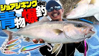 ショアジギングでカンパチ攻略！青物攻略のイロハを徹底解剖