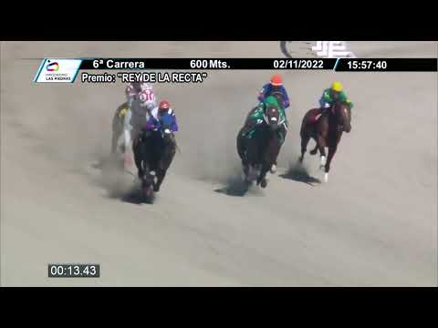 221102 c06 - QUE DOMINGO - HIPODROMO LAS PIEDRAS - PREMIO: "REY DE LA RECTA"