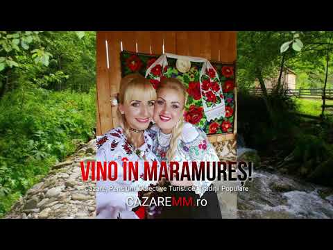 Hotel Danesti Maramures, Pensiune Baia Mare 50 Lei, Mocanita Viseu Cazare