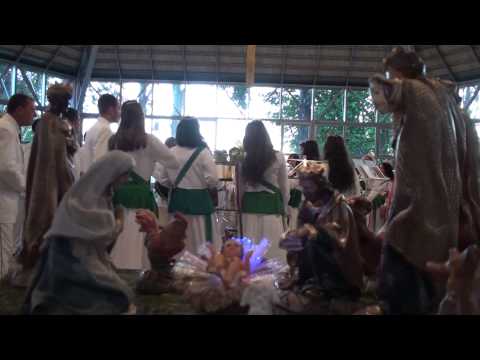 PISEI NA TERRA FRIA - FLOR DE JAGUBE - MESTRE 130