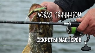 Ссылка