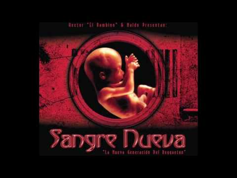 Sangre Nueva 2