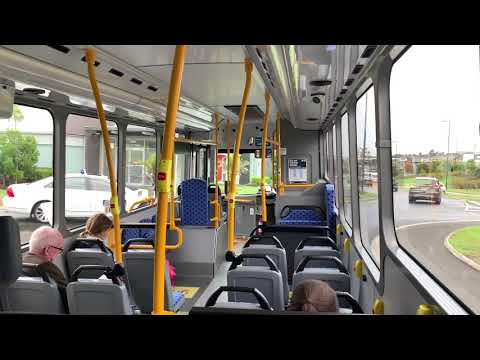 Go Bus Auckland GB5290 - MAN 16.250 (ZF EcoLife)