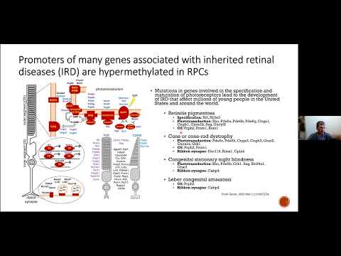 Dmitry V. Ivanov, PhD