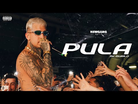 Mc Murilo x POTTER -  PULA